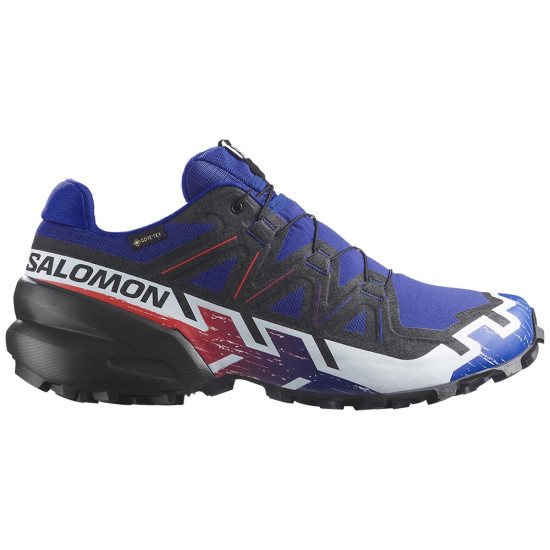 Salomon Speedcross 6 GTX Equipe